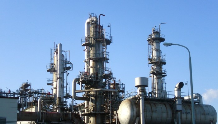 故城县郑口最新疫情：全面揭秘与未来展望