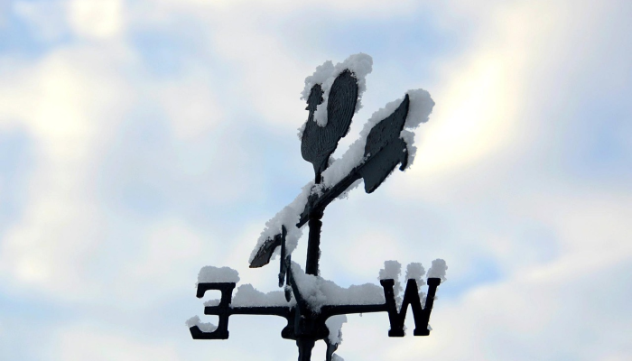 近日最新疫情通报：全面了解最新动态与防疫策略