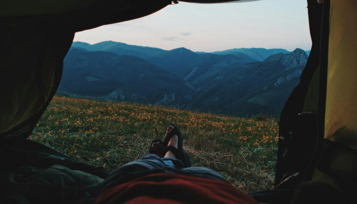 商水县疫情最新动态：全面了解疫情防控最新进展