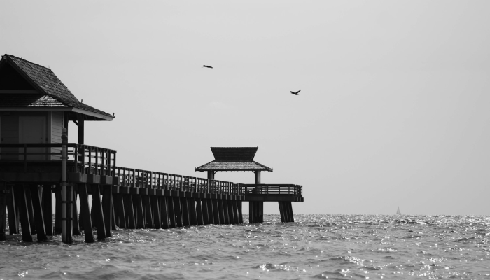 最新抵抗疫情图片：全球正在共同抗击的风暴