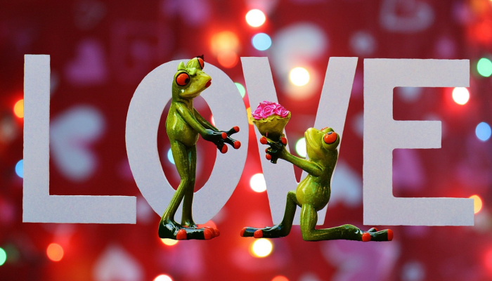 今日朝阳最新疫情：你需要知道的一切