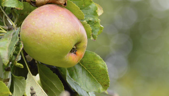 广州新鲜疫情最新：了解最新动态，共建健康社区