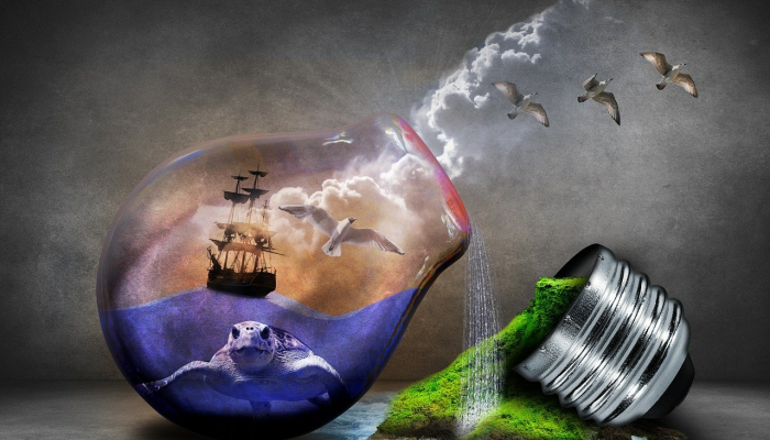 蝗虫最新疫情逼近：全球环境变化引发的生态灾难