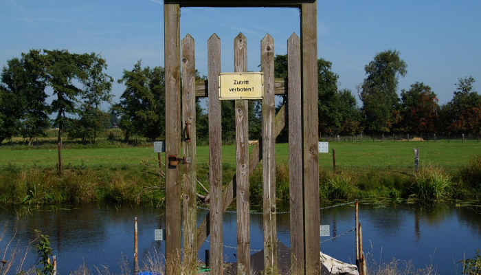 东湖梅园最新疫情：健康与安全的完美平衡