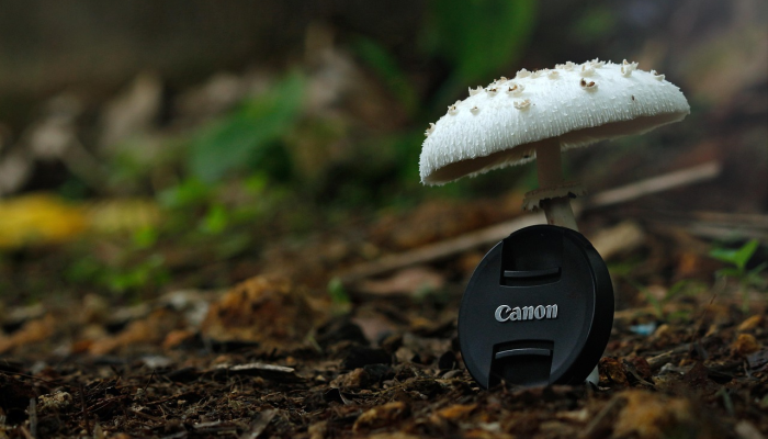 正安最新疫情公布：掌握最新动态，共同应对疫情挑战