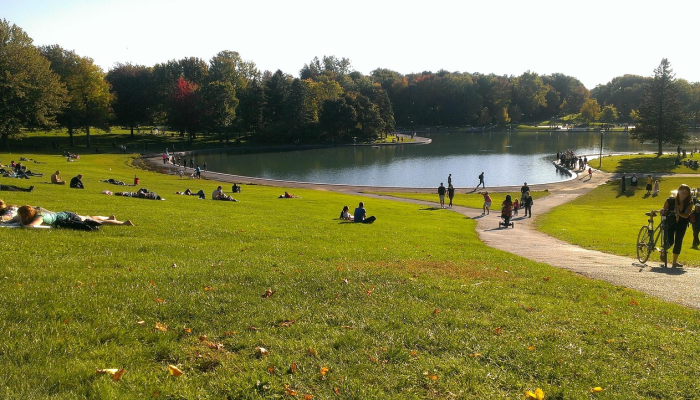 南京疫情省考最新动态：您的全面指南