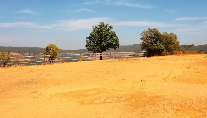 板石沟疫情最新：保护健康，共筑美好未来