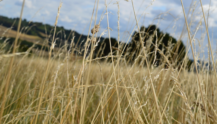 北京疫情最新状况表格：最新动态与实时数据分析