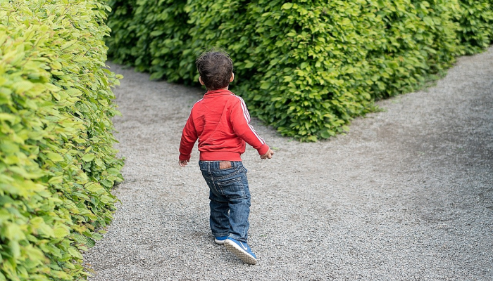 最新疫情菏泽定陶：防疫措施与社区生活