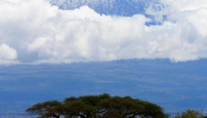 最新疫情轨迹天津丰台：你需要了解的最新动态