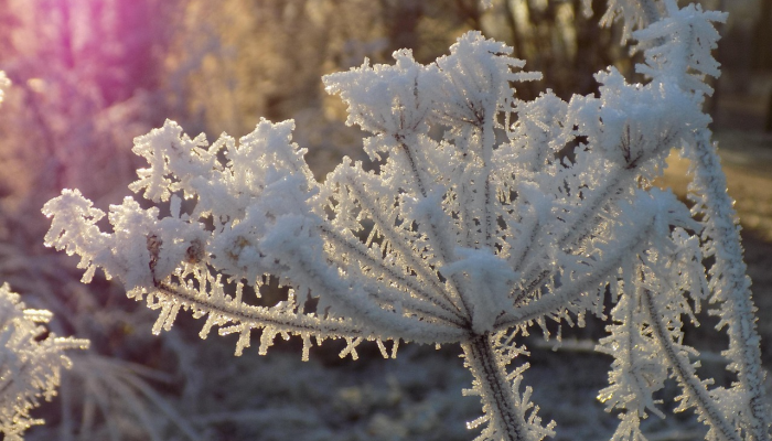 云端疫情最新：全球面对新冠肺炎的前沿动态