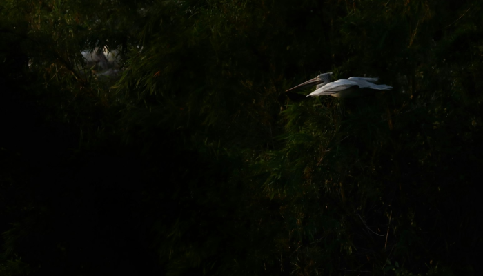 大连庄河疫情最新新闻：社区防控最新动态与您的健康守护