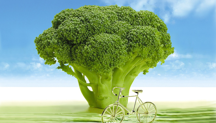 陕西榆树疫情最新消息：关注、了解、保护自己与社区的健康