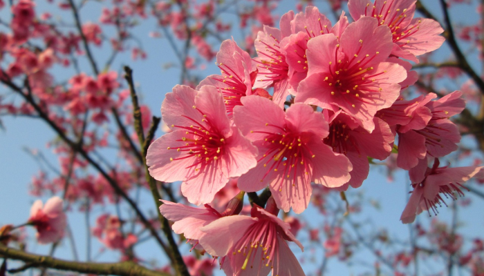 苏州姑苏疫情通报最新