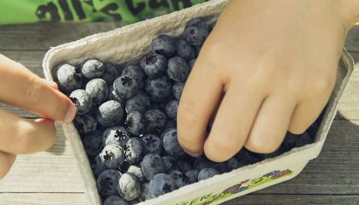 昆虫最新疫情消息：科学家揭示最新发现，揭开昆虫健康的奥秘