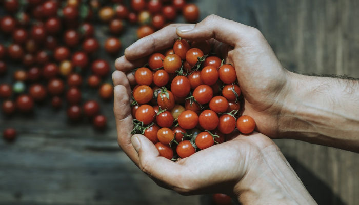 今日深圳最新疫情报道：防疫措施、社区动态及健康建议