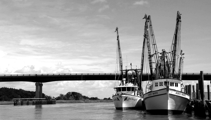 余杭拱墅区最新疫情：您需要知道的全面信息