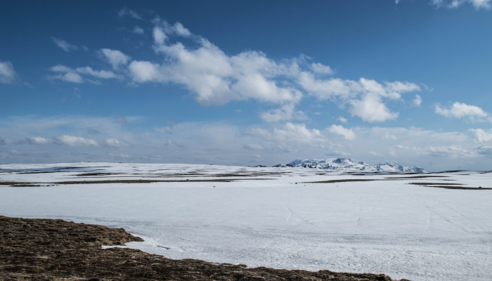 最新疫情旅游图片大全：全球旅行安全指南与美景汇集