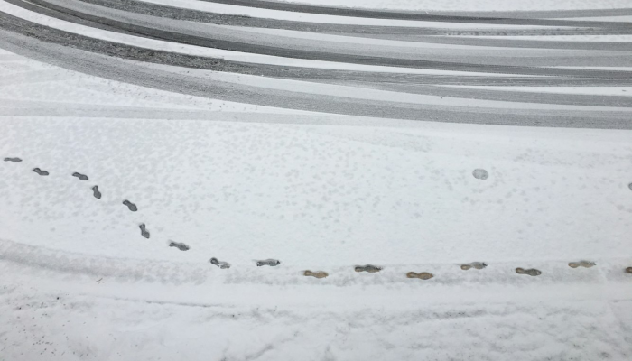 兰州最新疫情足迹情况：全面了解疫情动态，保障您的健康安全