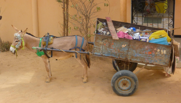 美国复工最新疫情