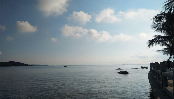 大角湾疫情最新:你所需要了解的全面信息 大角湾疫情最新:你所需要了解的全面信息