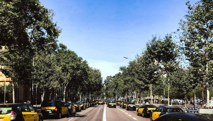 荆州沙市最新疫情：健康安全，守护我们的生活环境