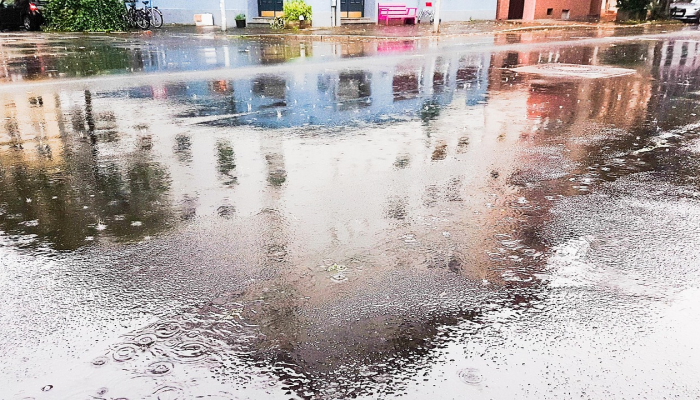 即墨龙泉最新疫情：让你了解最新动态与防护知识