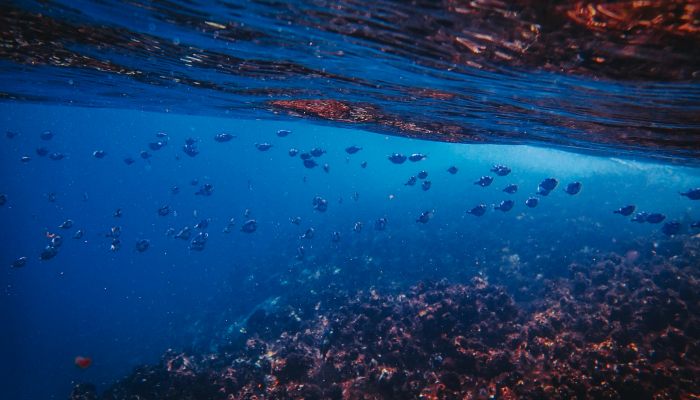 腾冲绥芬河最新疫情：探寻健康与自然的完美融合