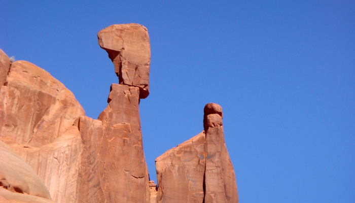 大连最新疫情公园：健康与安全的完美平衡