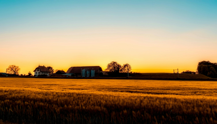 最新疫情笼罩图片:视觉震撼与深思的交响曲
