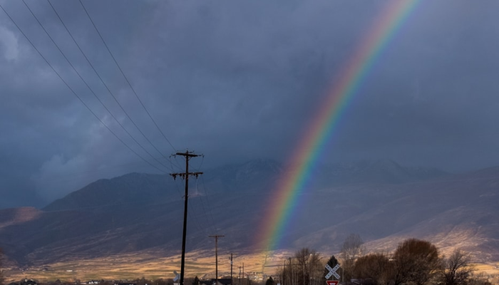 安边最新疫情通海：全球健康安全的前沿探讨