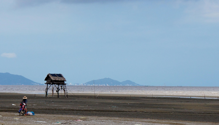 河南最新疫情冷库:了解真相,共同防护