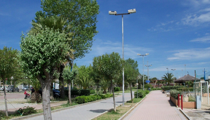 正定疫情最新动态：让你安心在每一天中的每一个小时