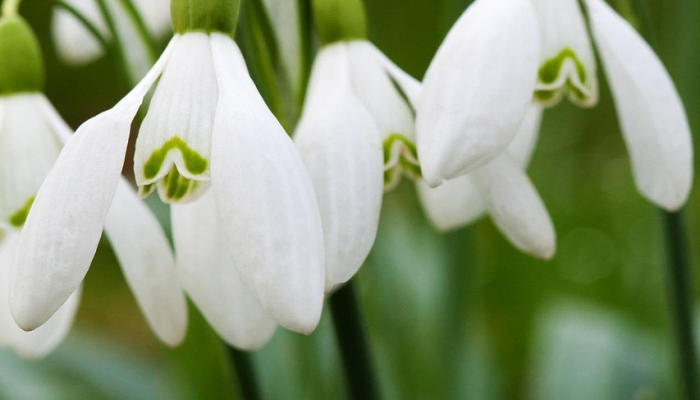 白云区疫情最新人数：全面掌握最新动态，确保健康安全