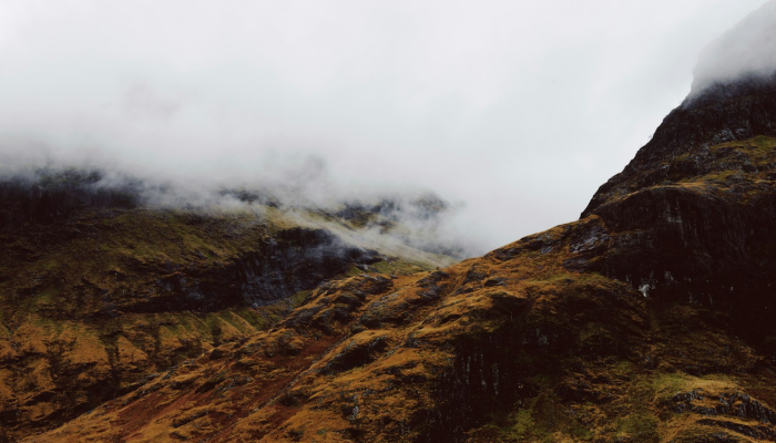永安最新疫情动态：你的健康守护者