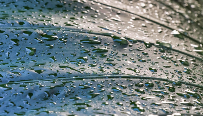 泰州疫情最新南京：你关心的每日动态