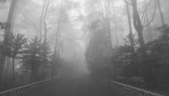 宁波福清最新疫情消息：让你安心的健康生活指南