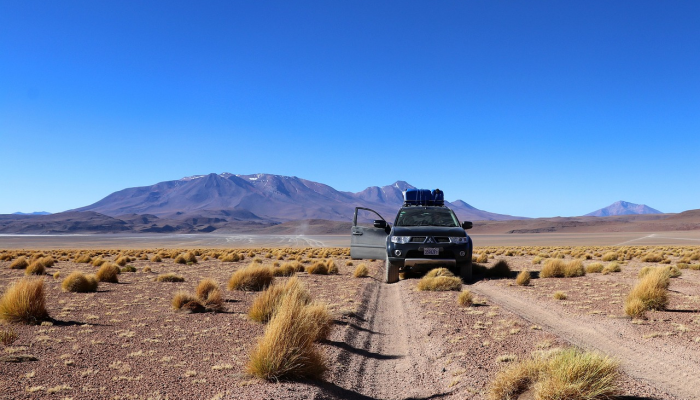 新疆各地区最新疫情