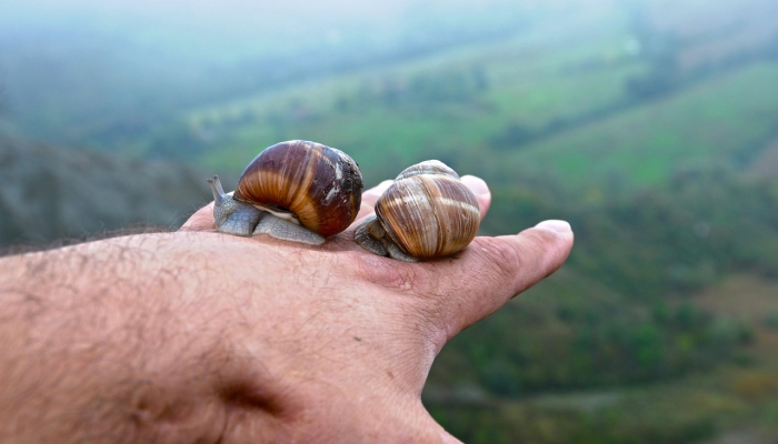 虎门疫情动态图最新:全面了解当下防疫形势