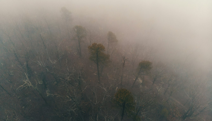 淄博的最新疫情通报图:疫情防控的最新动态