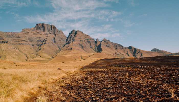 徽州最新疫情通告：防疫知识与安全保障