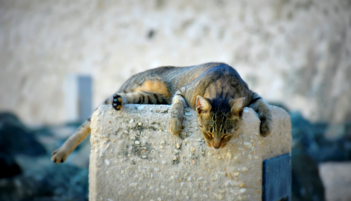 深圳最新福田疫情通报:最新动态与防疫措施详解