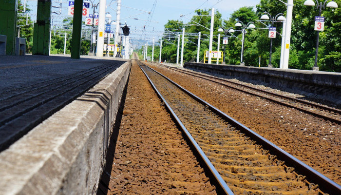 杭州疫情最新素材:疫情防控的最新进展与市民生活的真实写照