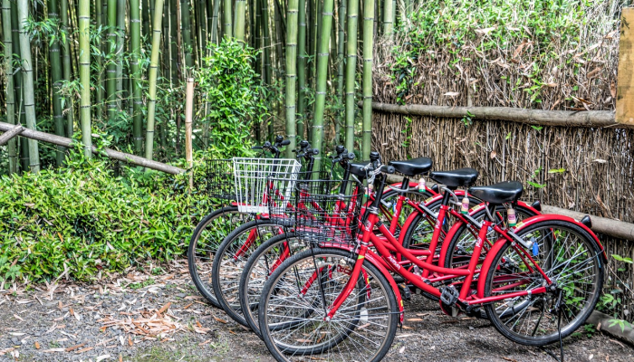 民宿疫情最新通报图片:重温安全旅行,重拾信心