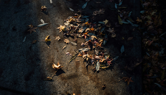 洪水疫情最新图片:揭示自然灾害与人类奋力的抗争