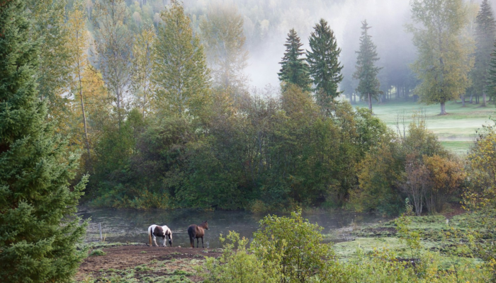 西湖镇疫情最新消息:你的健康守护者