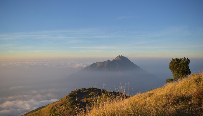 邢台市疫情最新播报：全面了解最新动态与防疫措施