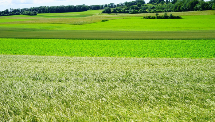 江川农场疫情最新消息：保护生命，共同前行