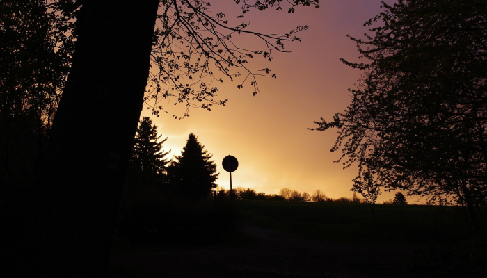 冠病疫情最新消息：你需要了解的最新动态和健康防护指南