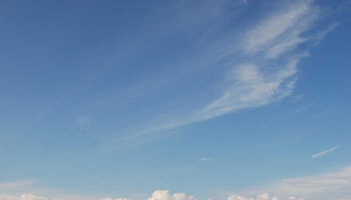 福州财贸疫情最新情况：市场动态与前景展望